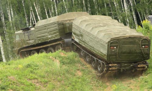 Vityaz DT-30P