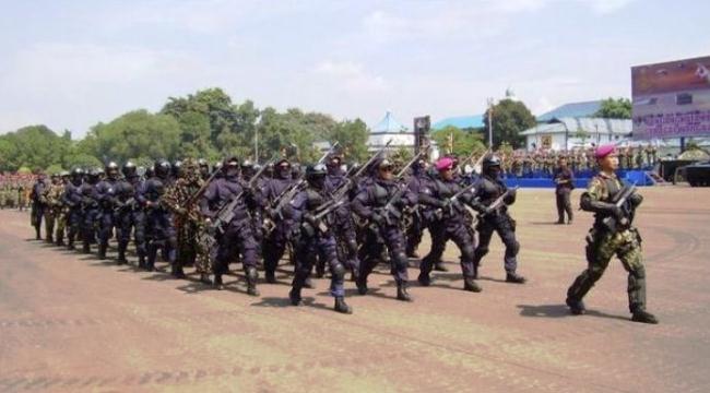 Pasukan khusus TNI AL Detasemen Jala Mangkara (Denjaka) Pasukan khusus TNI AL Detasemen Jala Mangkara (Denjaka)
