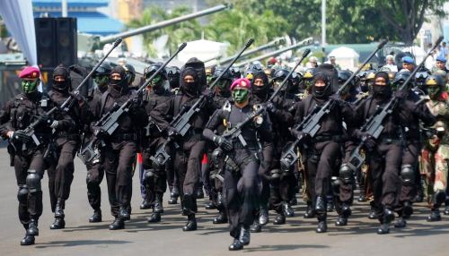 Tontaifib dengan SPR Pindad Tontaifib dengan SPR Pindad