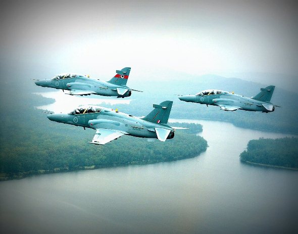 Hawk Trainer Hawk Trainer
